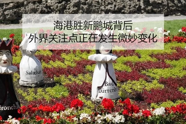 海港胜新鹏城背后 外界关注点正在发生微妙变化