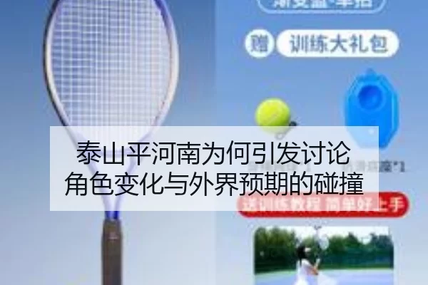 tai-shan-ping-he-nan-wei-he-yin-fa-tao-lun-jue-se-bian-hua-yu-wai-jie-yu-qi-de-peng-zhuang-2-904.jpg