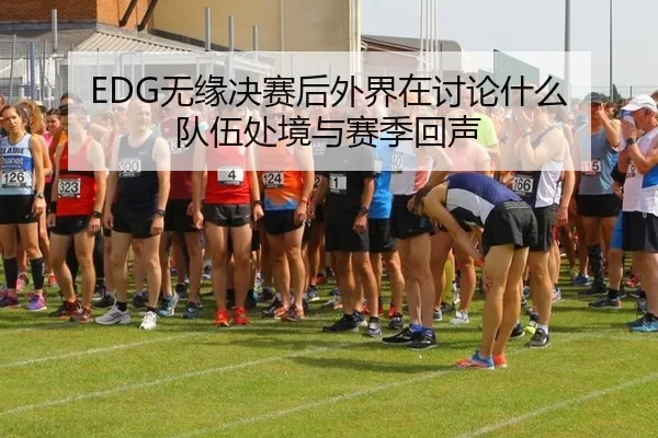 EDG无缘决赛后外界在讨论什么 队伍处境与赛季回声